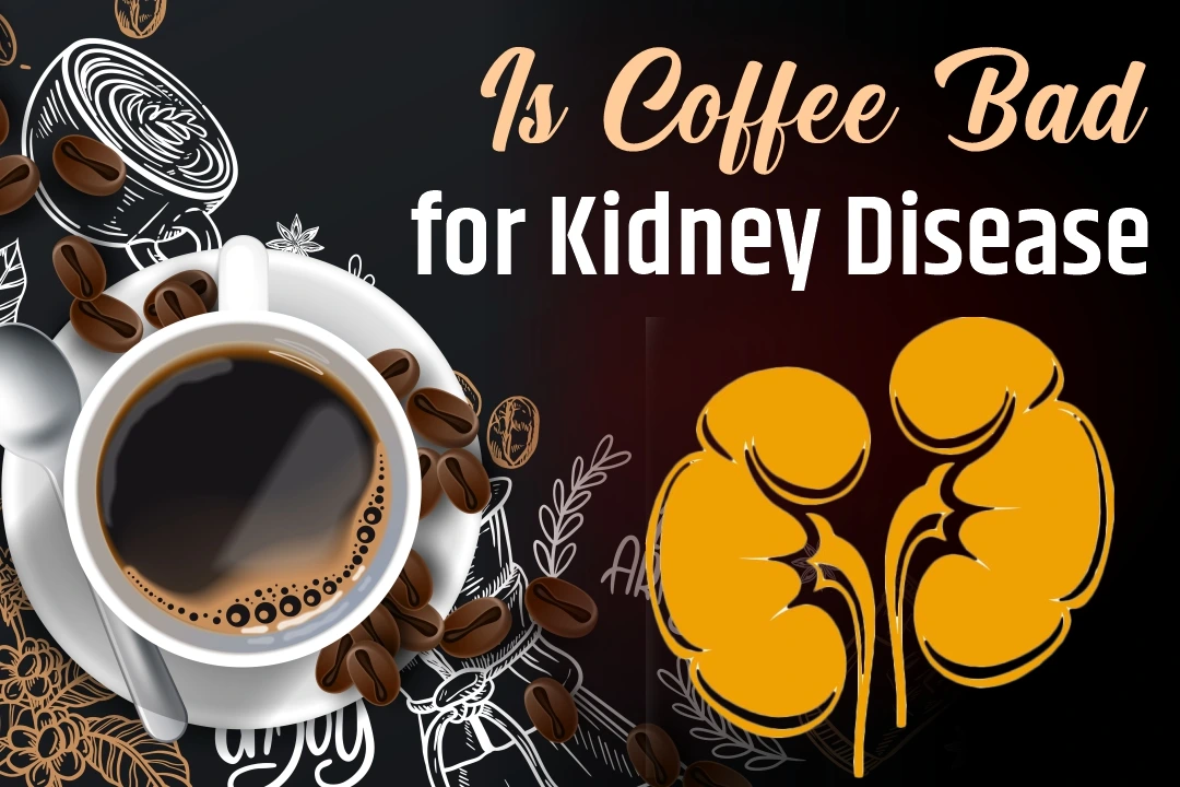 Is Coffee Bad for Kidney Disease? (USA Patients Guide)